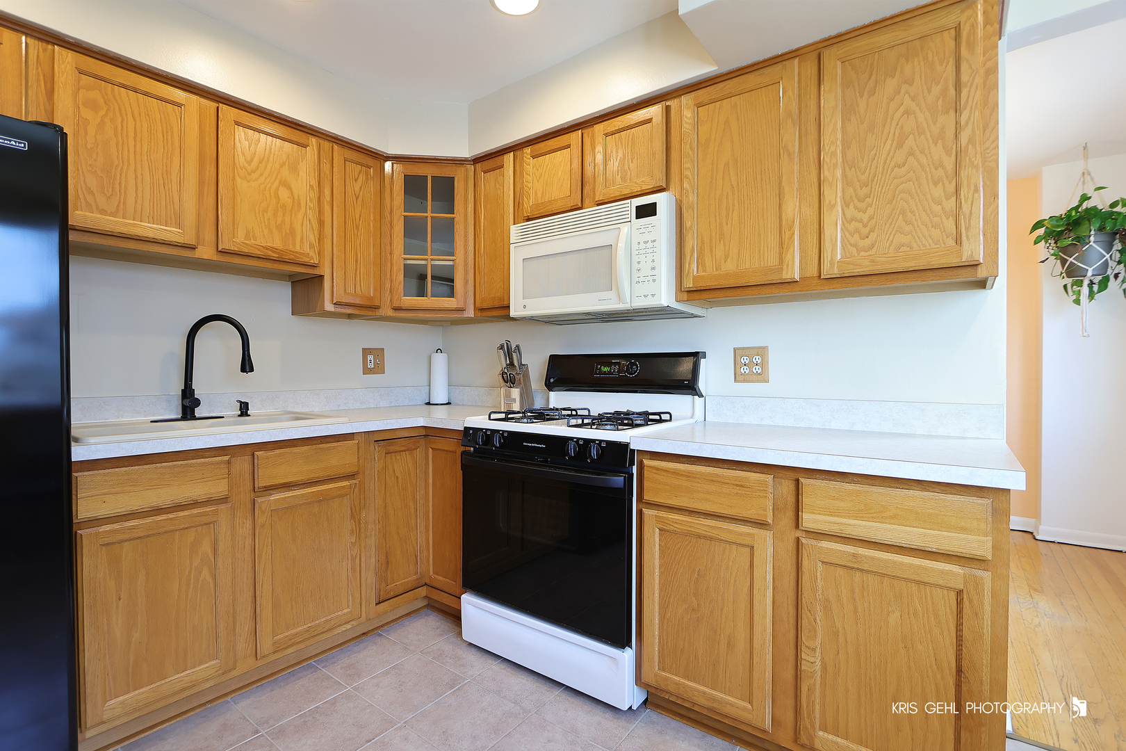 9056 N Clifton Avenue, Niles, IL 60714