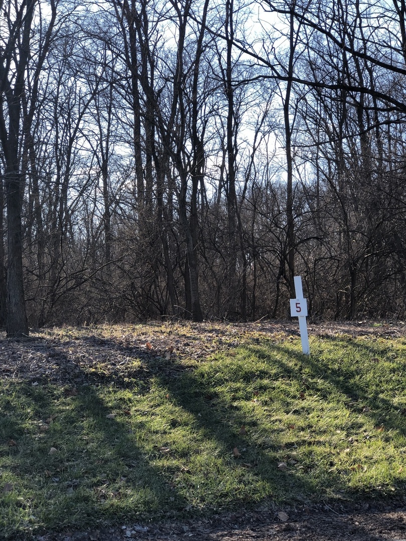 Lot 5 Oak Meadow Ct. Oak Meadow Ct. Court, Homer Glen, IL 60491