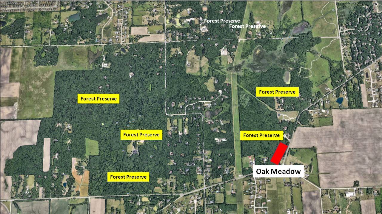 Lot 5 Oak Meadow Ct. Oak Meadow Ct. Court, Homer Glen, IL 60491