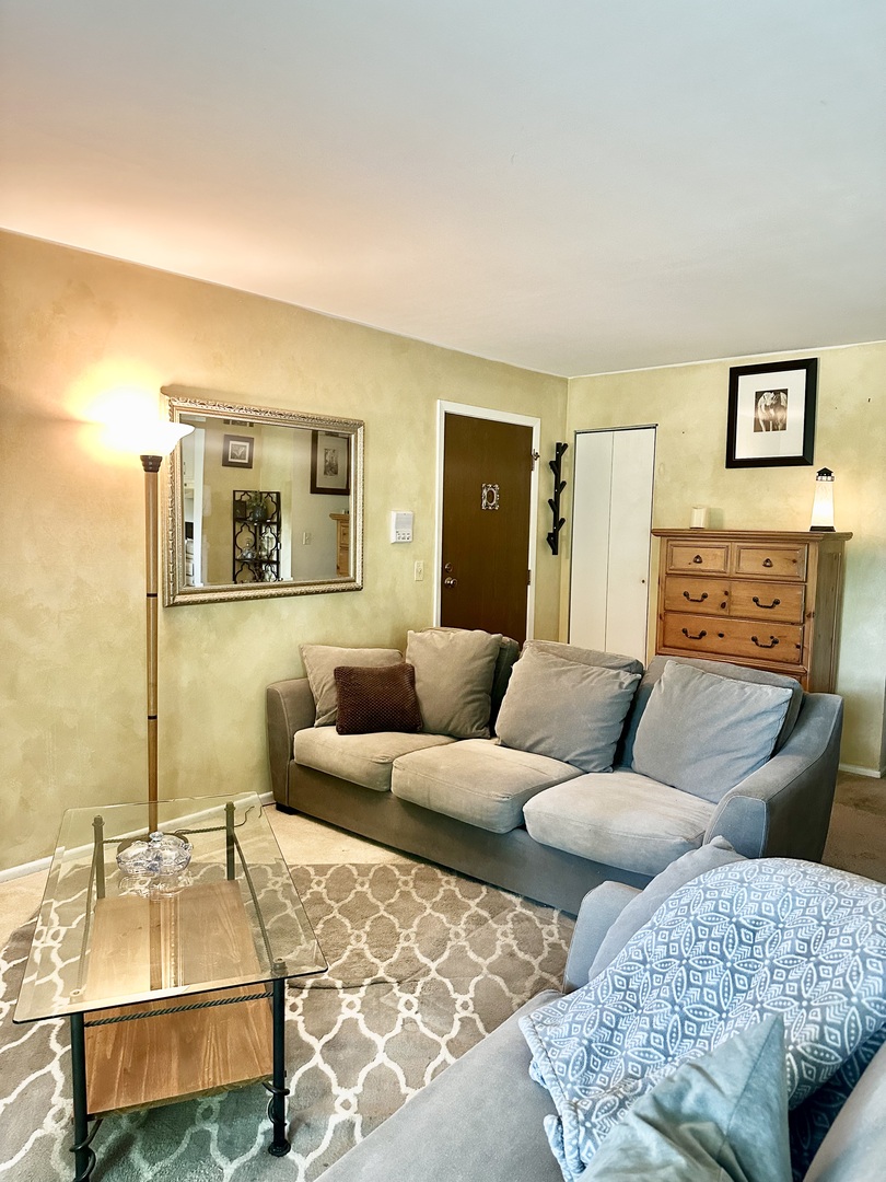22 Waterbury Lane #N1, Schaumburg, IL 60193
