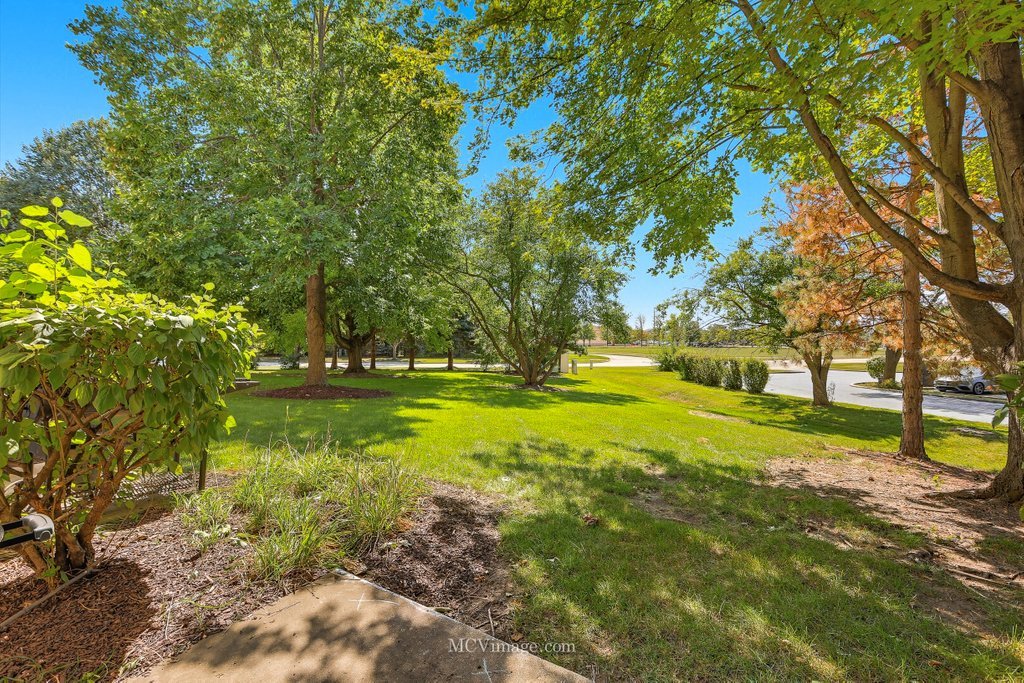 2824 Collins Court, Naperville, IL 60563