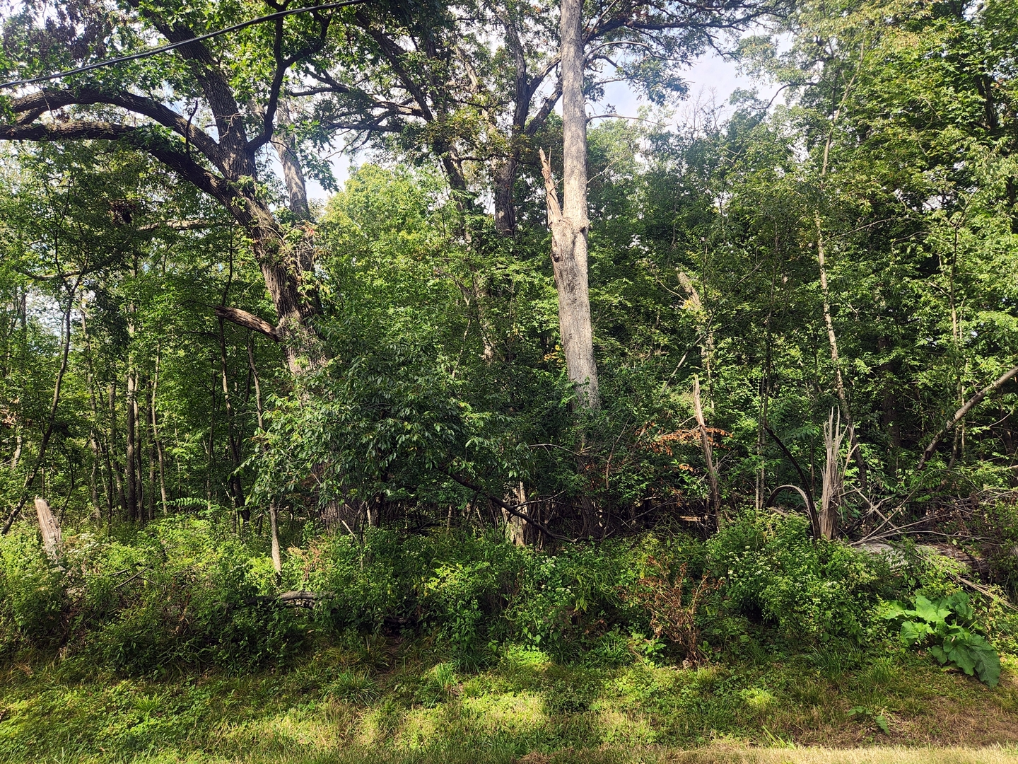 Lot 679 Rollingwood Place, Varna, IL 61375