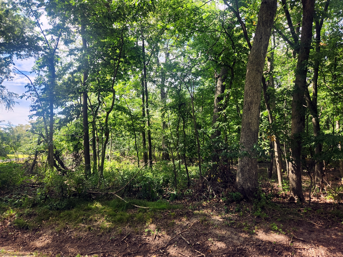 Lot 679 Rollingwood Place, Varna, IL 61375