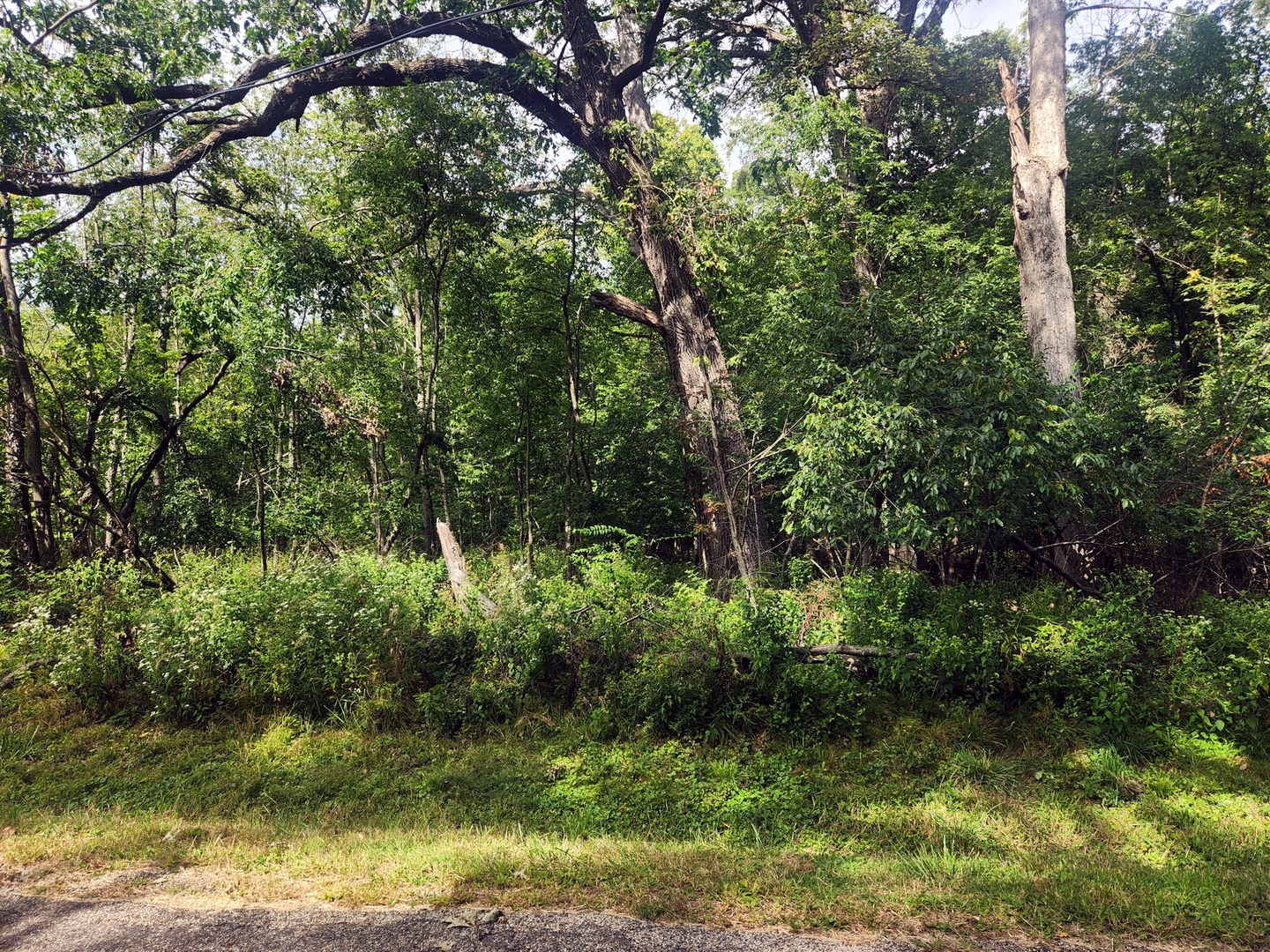 Lot 679 Rollingwood Place, Varna, IL 61375