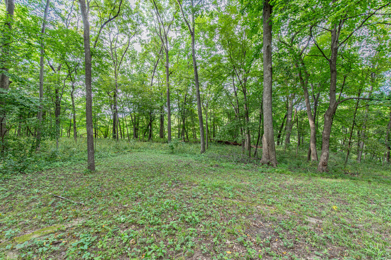19 Navajo Court, Putnam, IL 61560