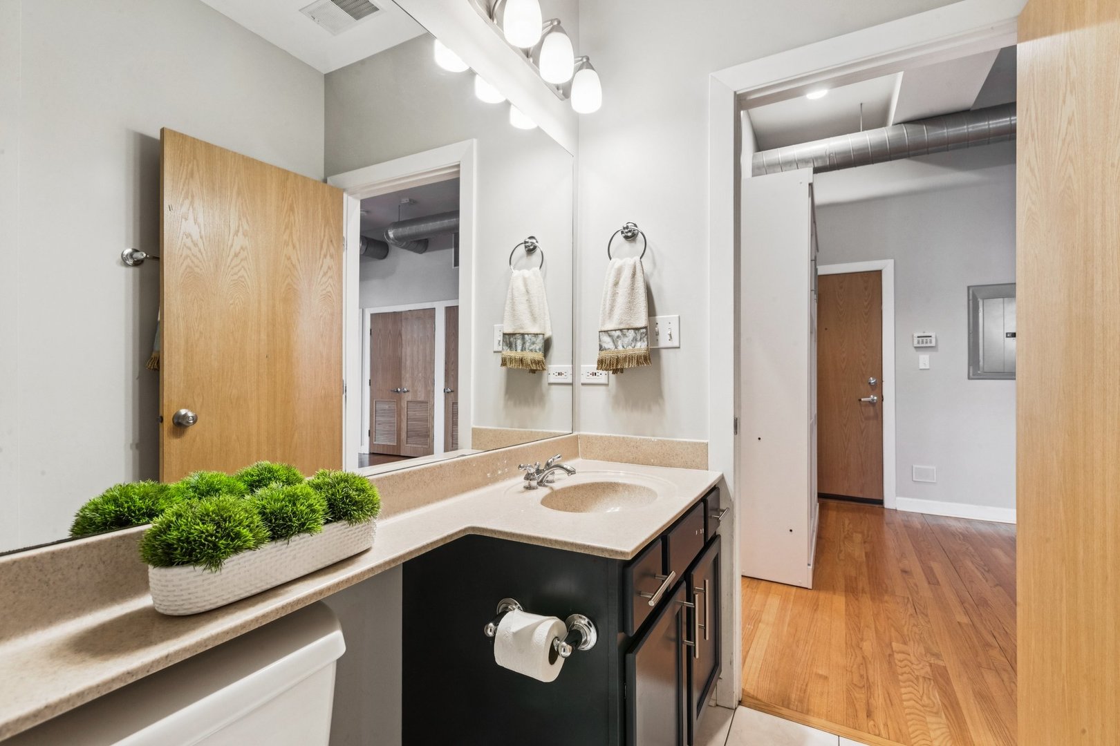 1738 W Belmont Avenue #1R, Chicago, IL 60657