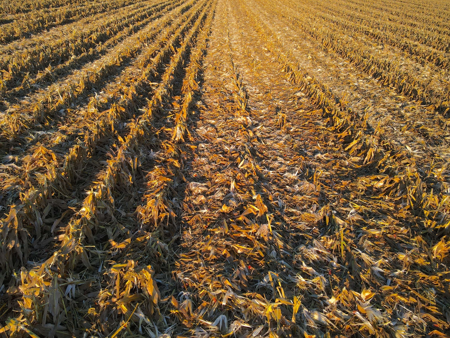 000 US BUSINESS 20 W Highway, Freeport, IL 61032