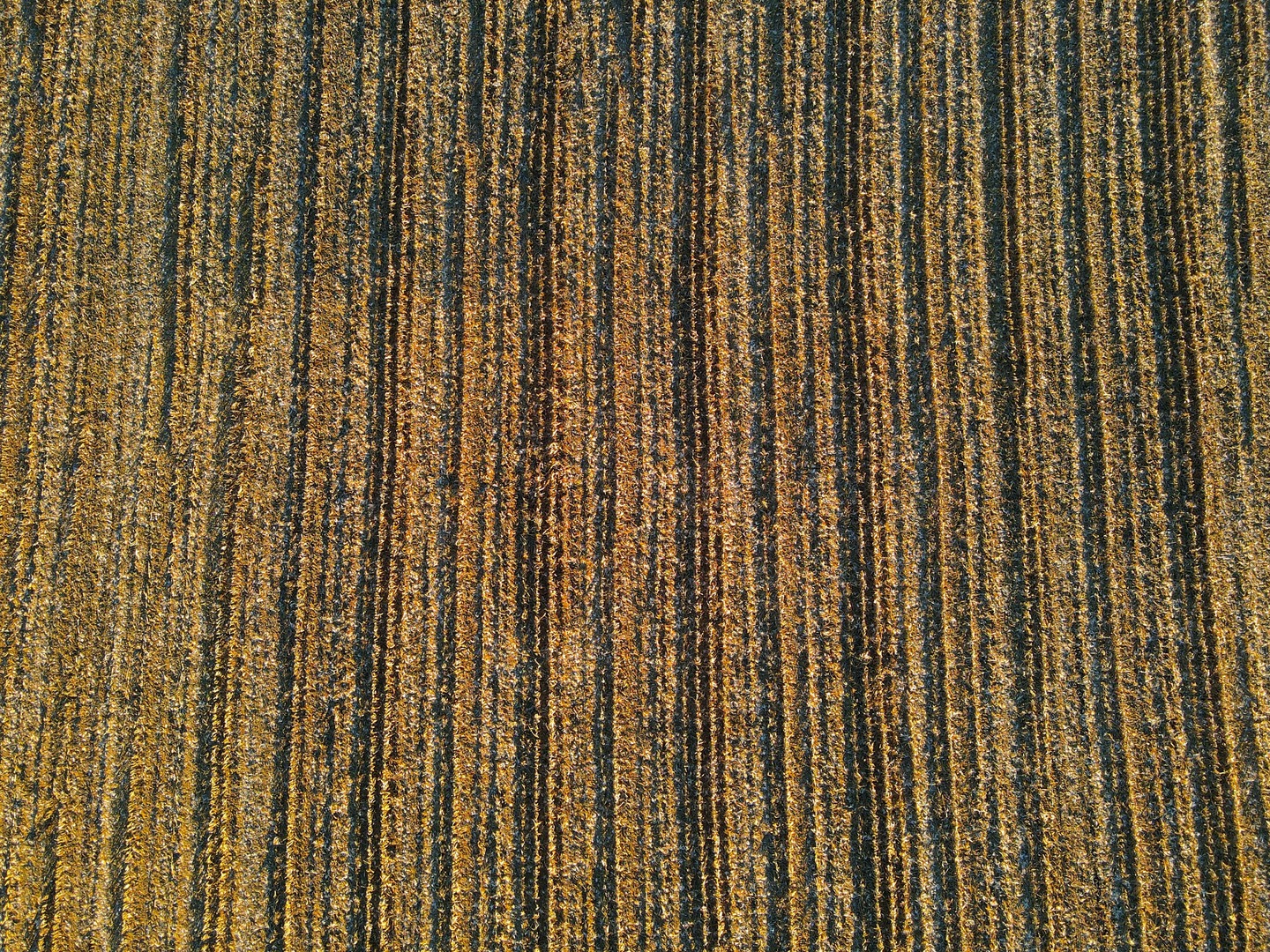 000 US BUSINESS 20 W Highway, Freeport, IL 61032