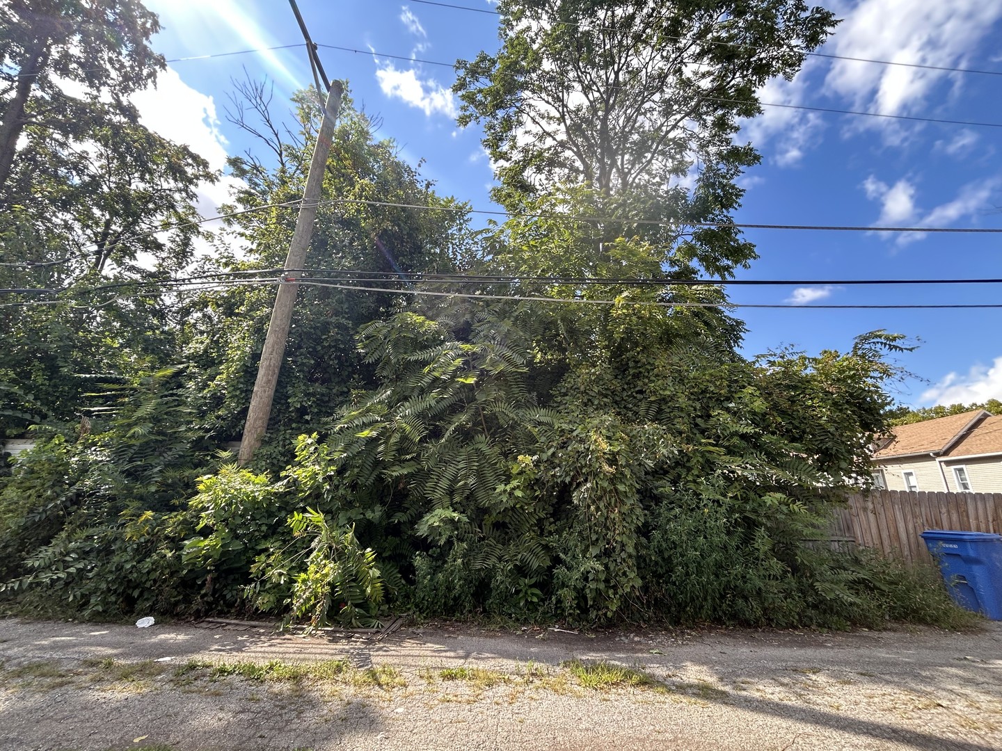 10217 S Wallace Street, Chicago, IL 60628