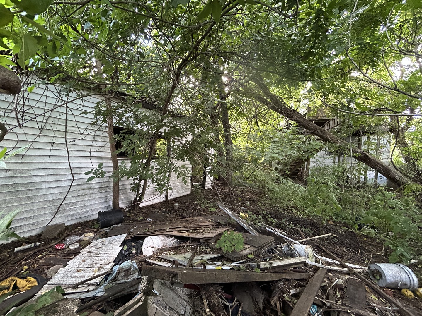 10217 S Wallace Street, Chicago, IL 60628