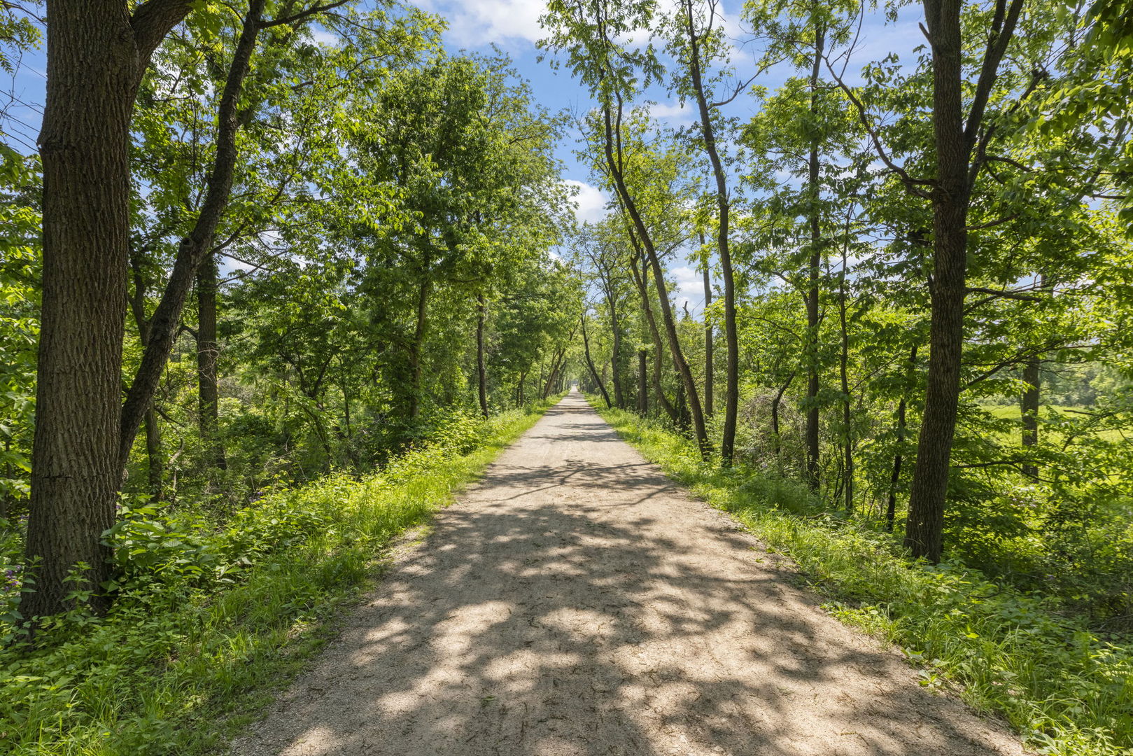 1230 Champion Forest Court, Wheaton, IL 60187