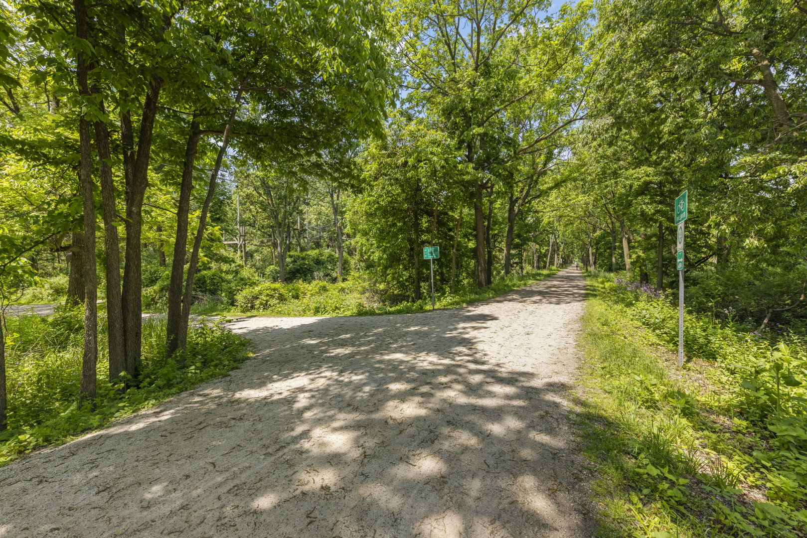 1230 Champion Forest Court, Wheaton, IL 60187