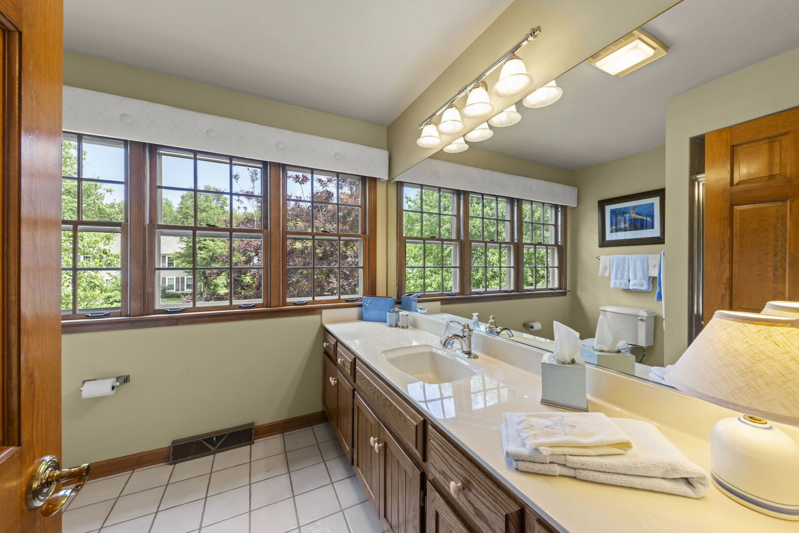 1230 Champion Forest Court, Wheaton, IL 60187