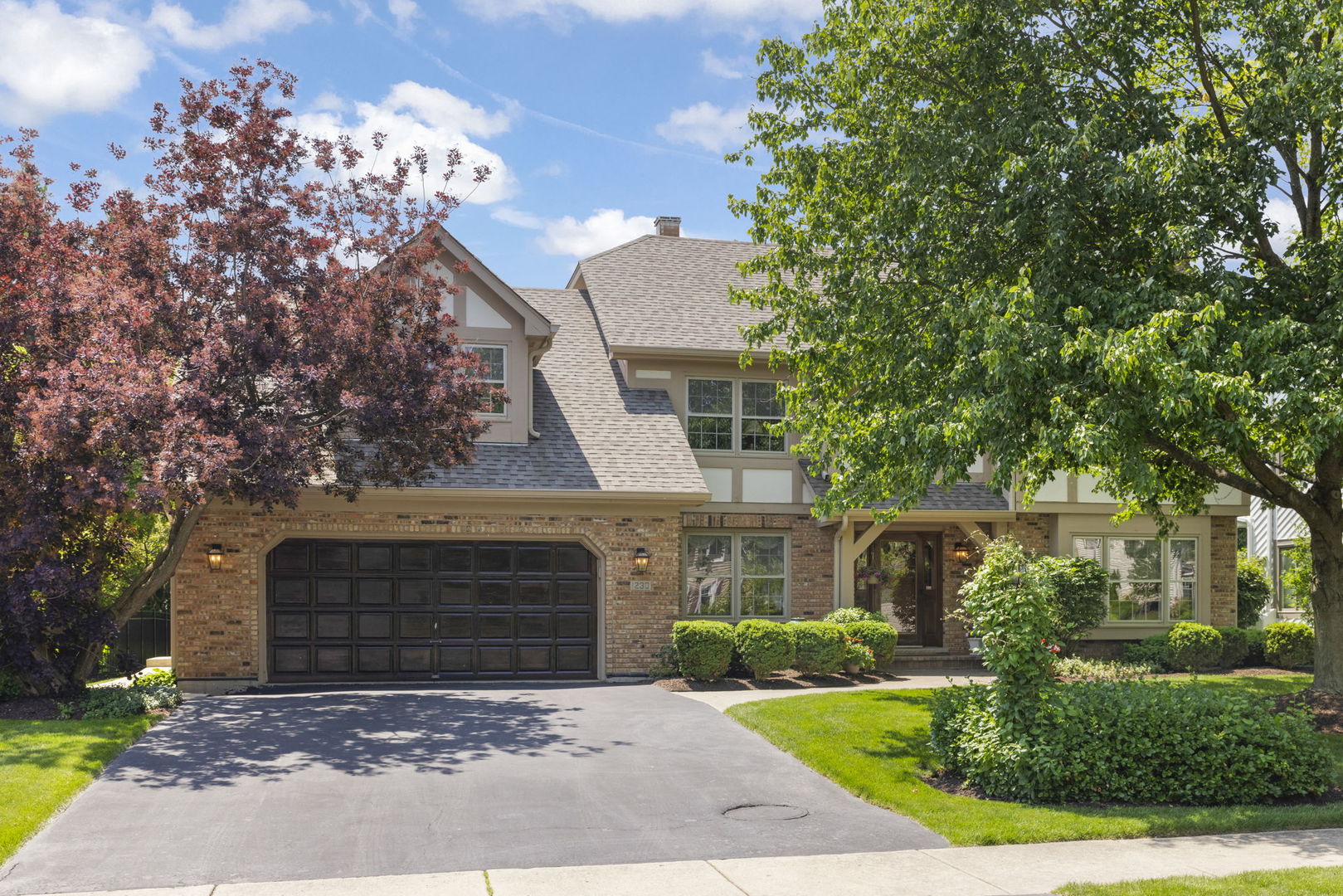 1230 Champion Forest Court, Wheaton, IL 60187