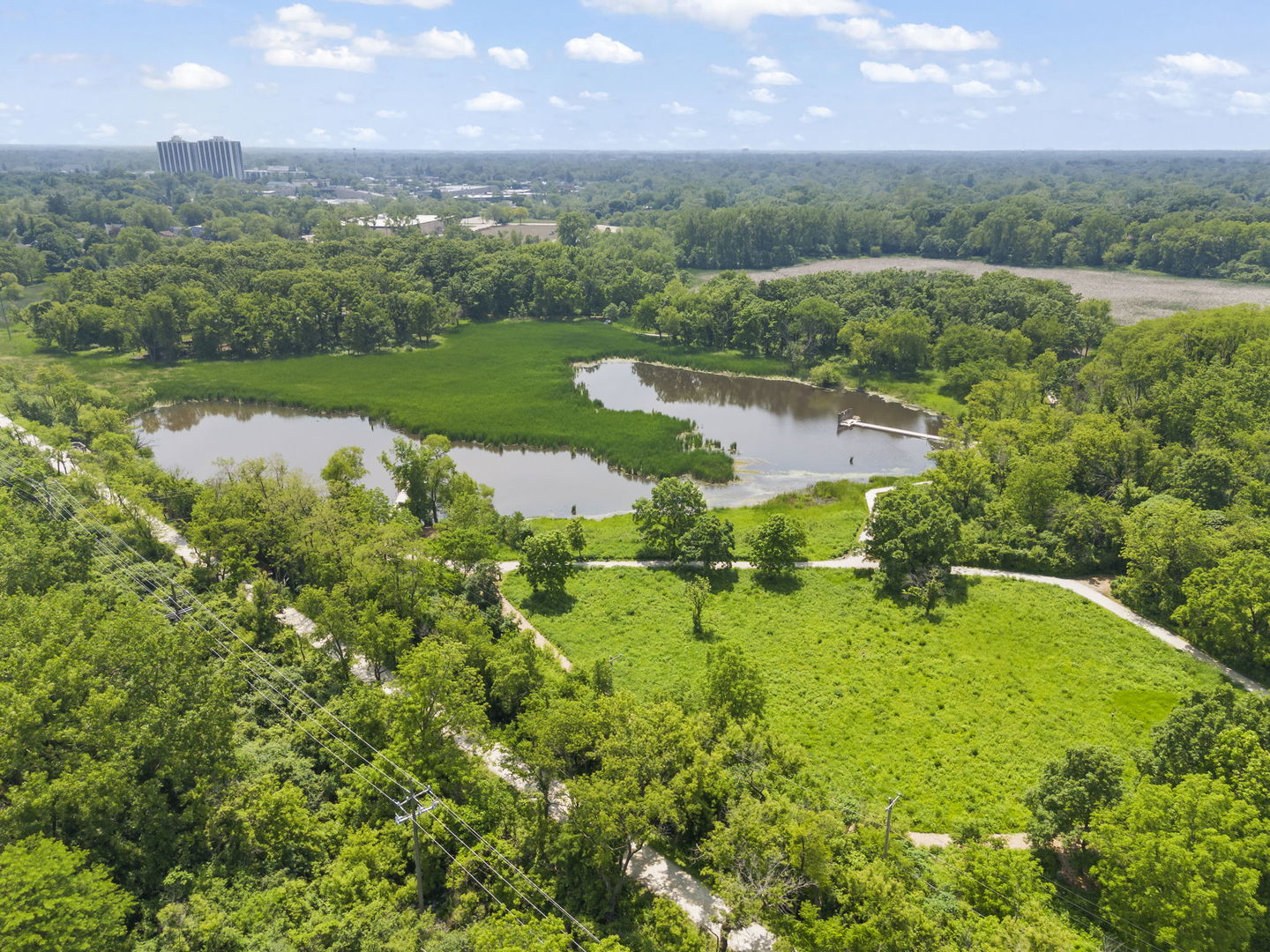 1230 Champion Forest Court, Wheaton, IL 60187