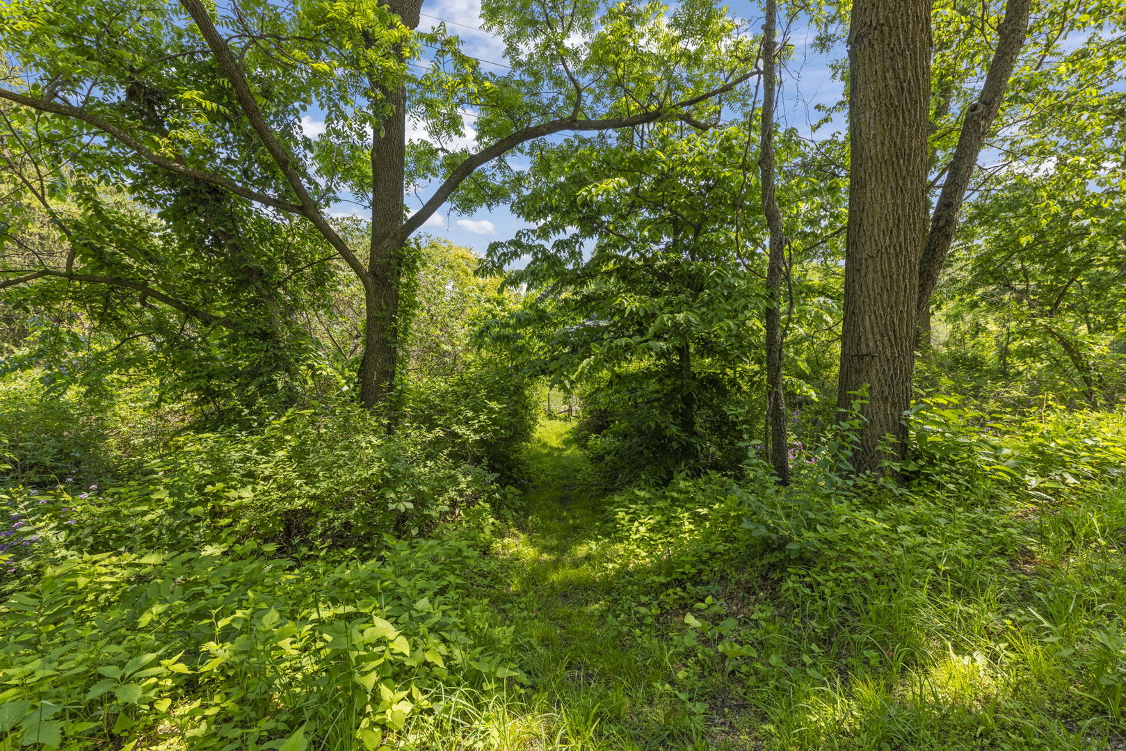 1230 Champion Forest Court, Wheaton, IL 60187