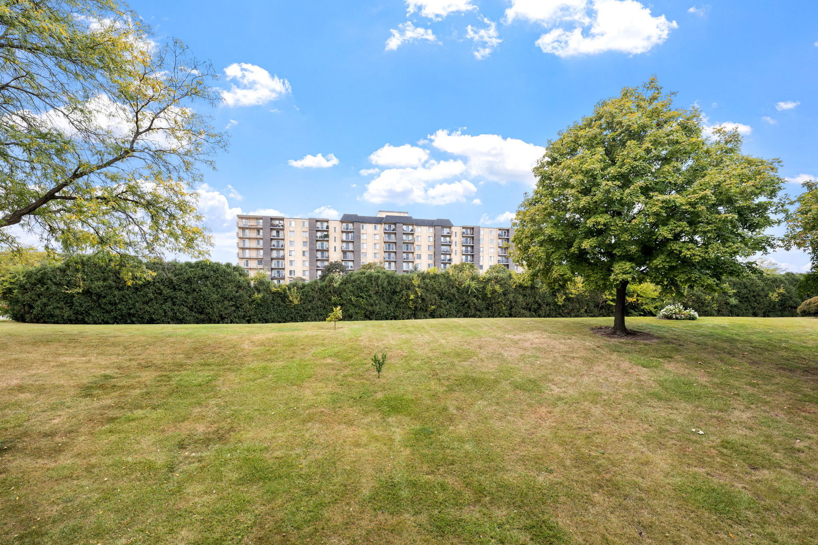 5540 Walnut Avenue #11B, Downers Grove, IL 60515