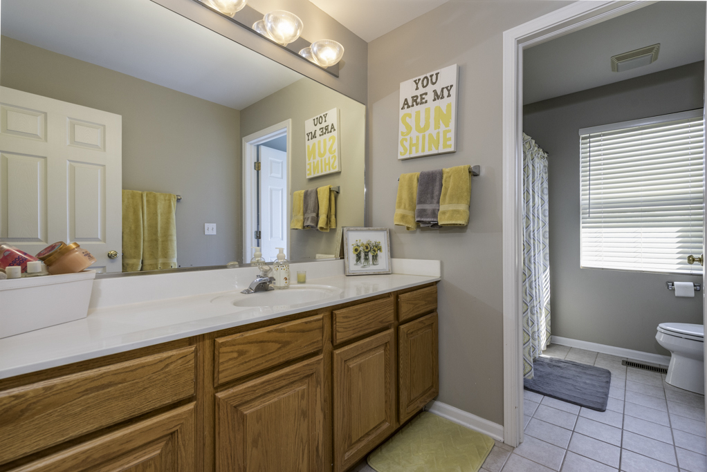 1703 Mulberry Drive, Lake Villa, IL 60046