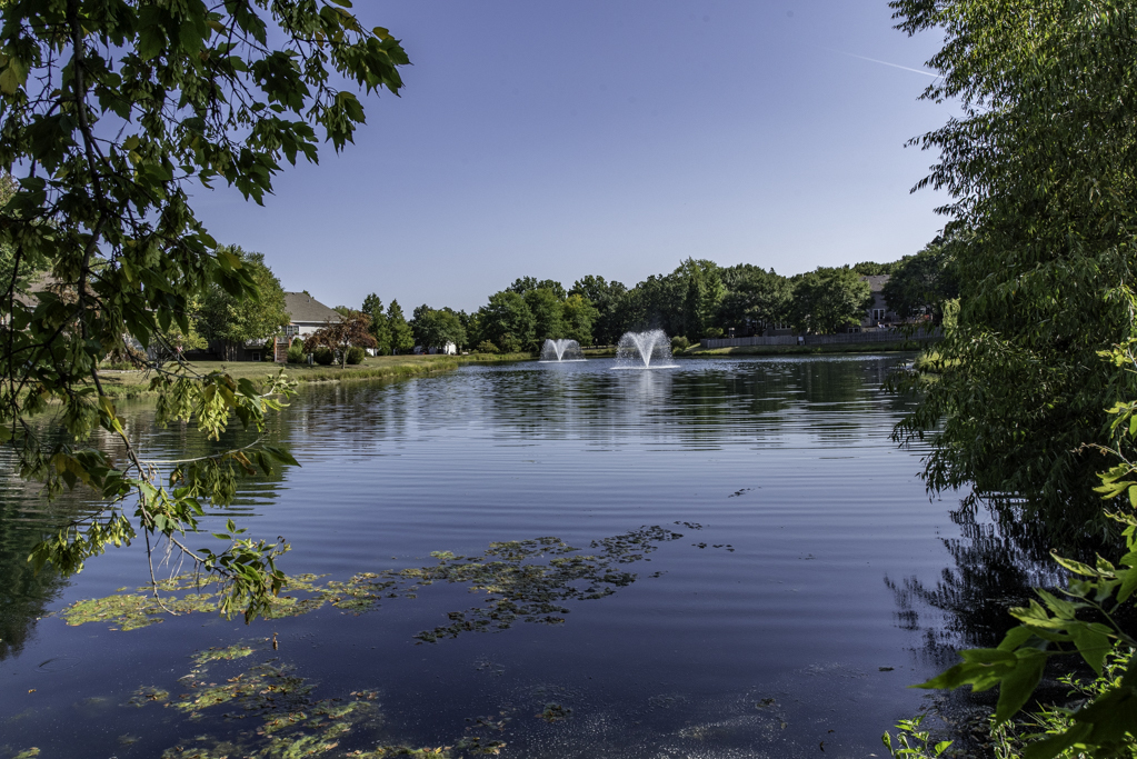 1703 Mulberry Drive, Lake Villa, IL 60046
