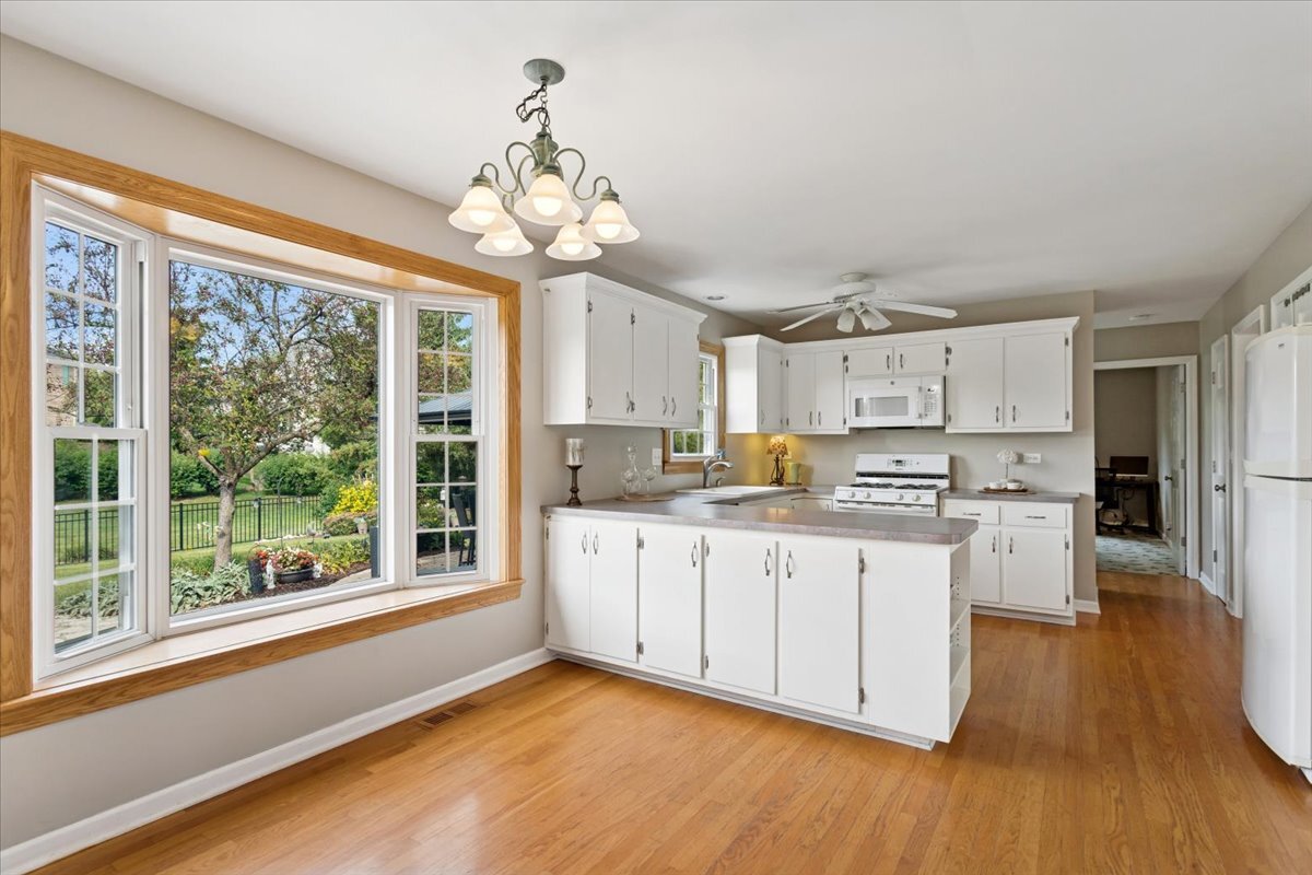 1572 Clemson Drive, Naperville, IL 60565