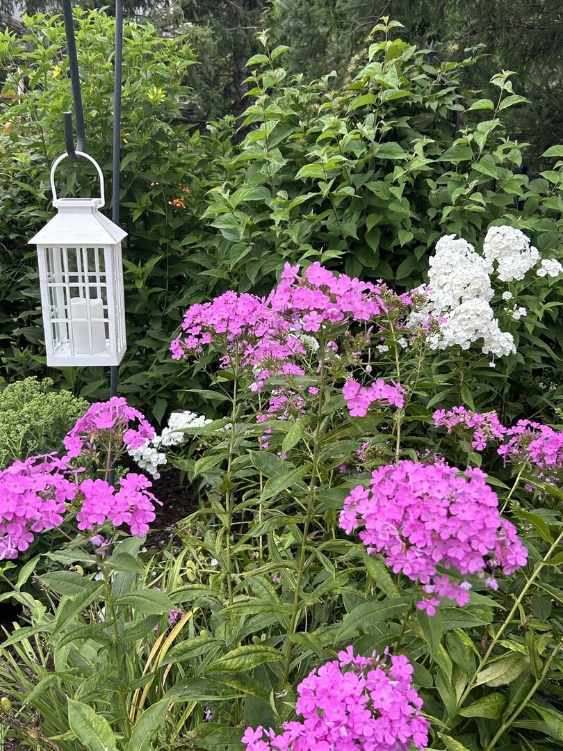 1572 Clemson Drive, Naperville, IL 60565