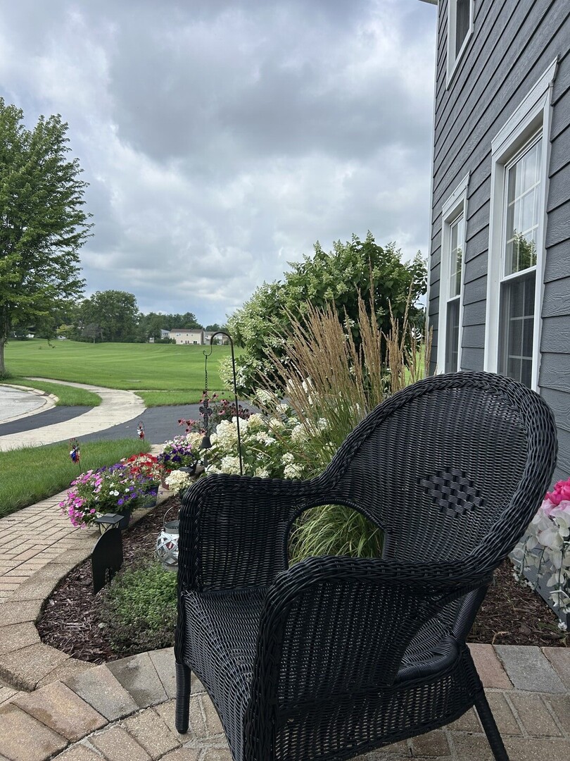 1572 Clemson Drive, Naperville, IL 60565