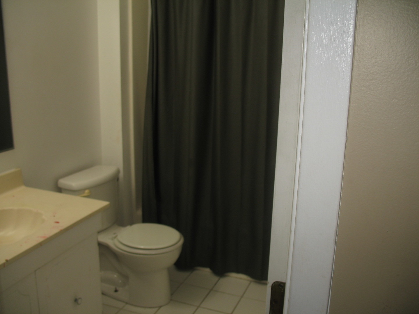 43 Fernwood Drive #D, Bolingbrook, IL 60440