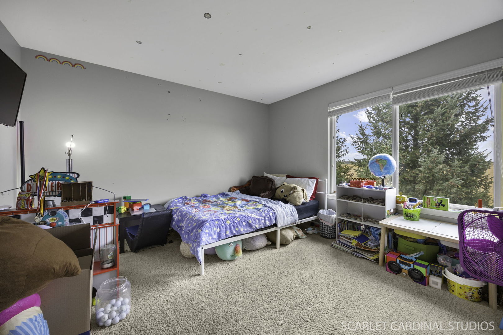 2904 Shetland Lane, Montgomery, IL 60538