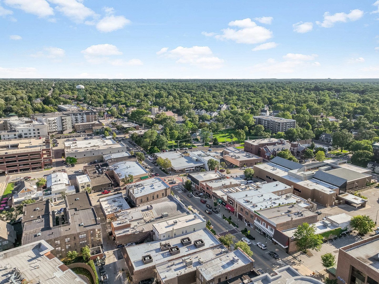 841 Rogers Street, Downers Grove, IL 60515