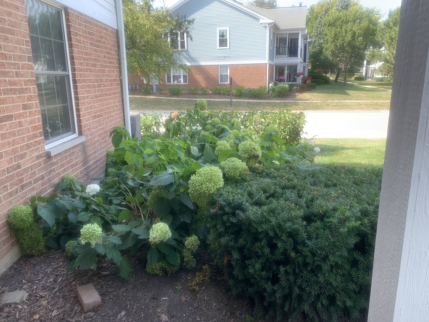 1311 Nutmeg Court #A, Mount Prospect, IL 60056