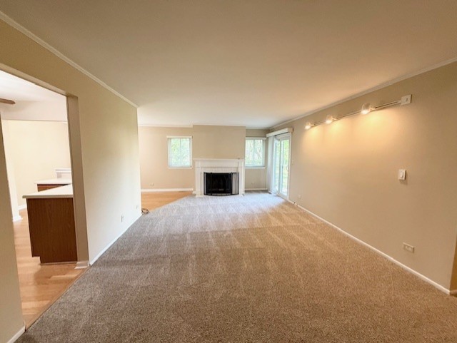 602 Stone Circle Court #Z1, Schaumburg, IL 60194
