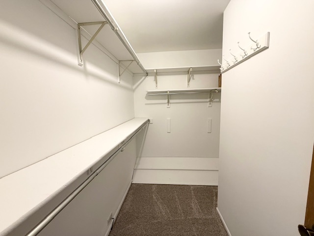 602 Stone Circle Court #Z1, Schaumburg, IL 60194