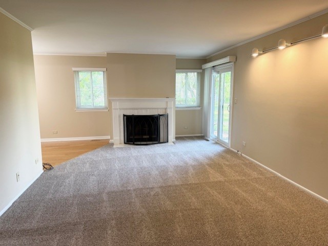 602 Stone Circle Court #Z1, Schaumburg, IL 60194