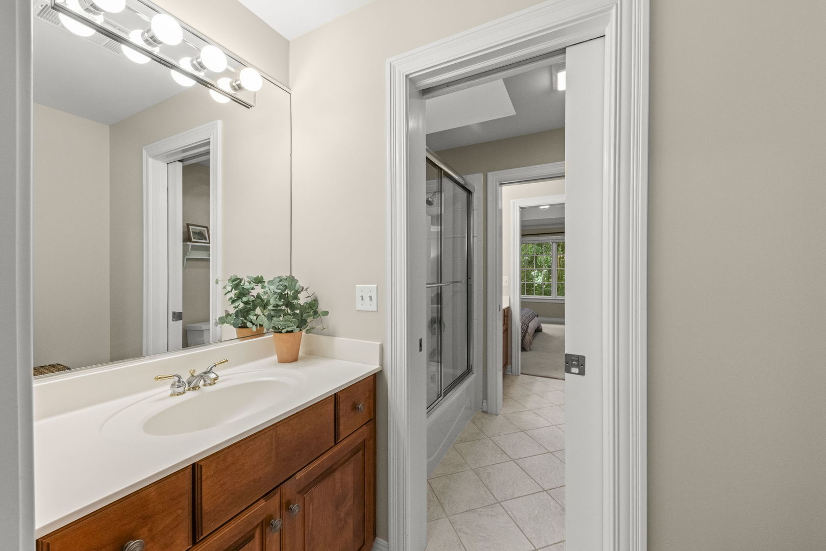 1207 Bonnema Court, Naperville, IL 60565