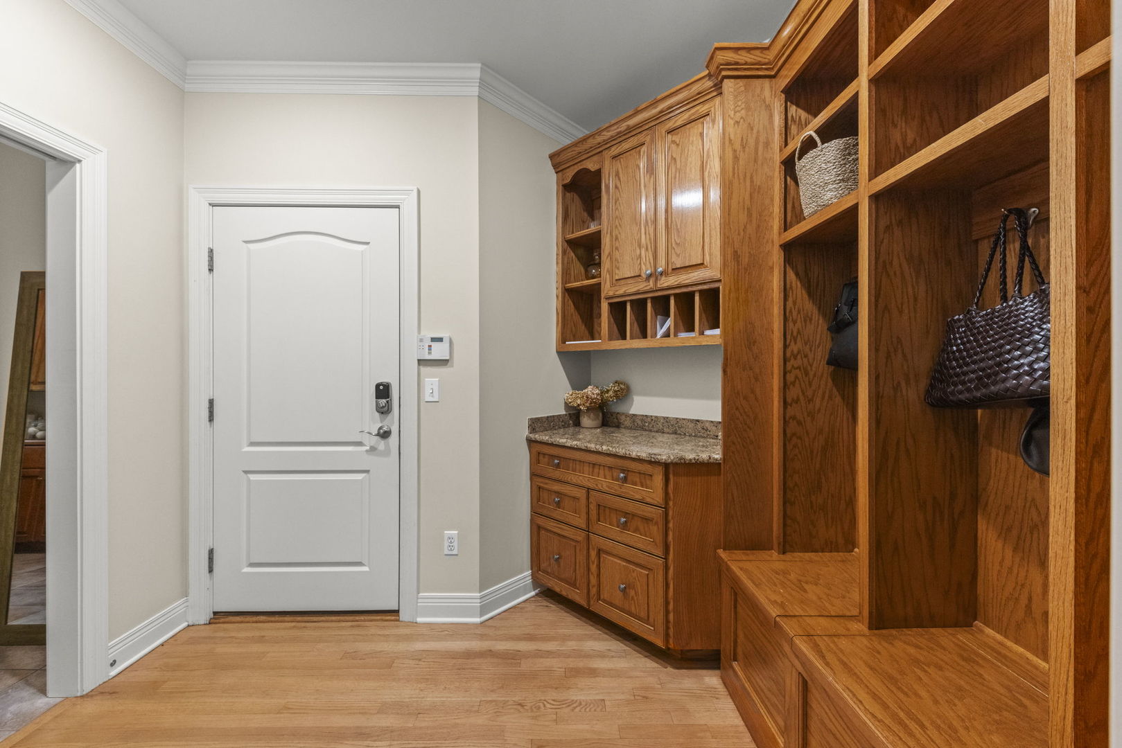 1207 Bonnema Court, Naperville, IL 60565