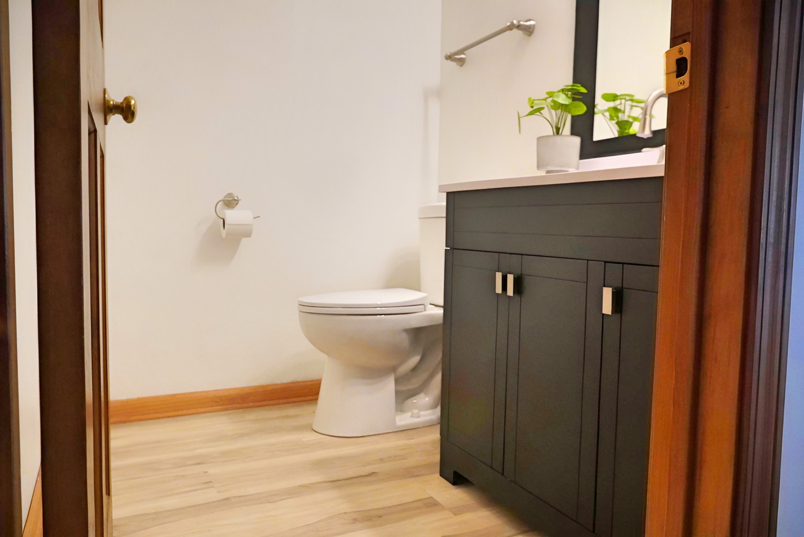 1707 Chestnut Hill Road, Plainfield, IL 60586