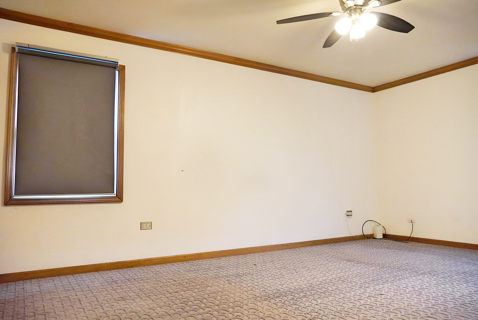 1707 Chestnut Hill Road, Plainfield, IL 60586