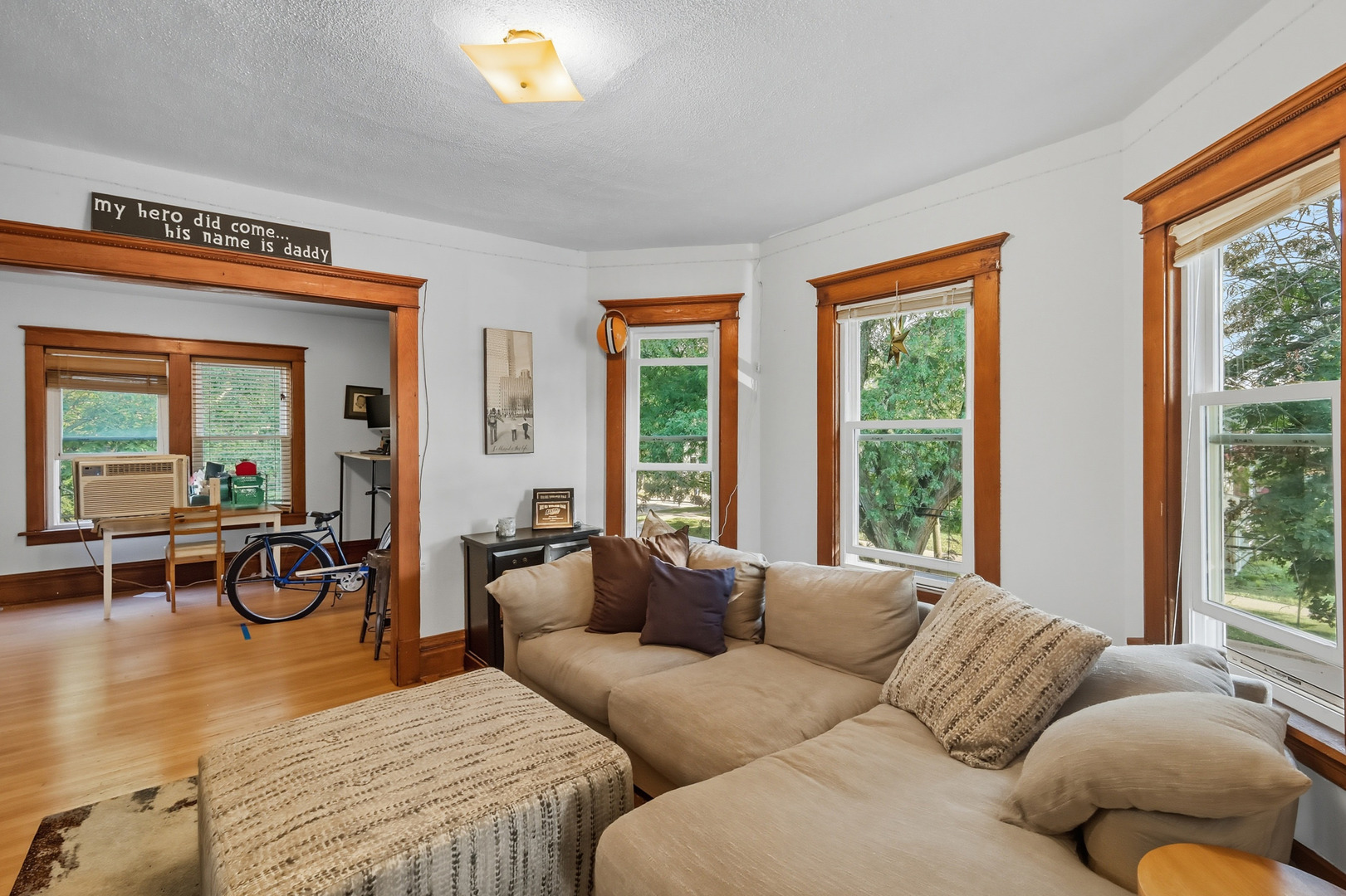 709 Bell Avenue, La Grange, IL 60525