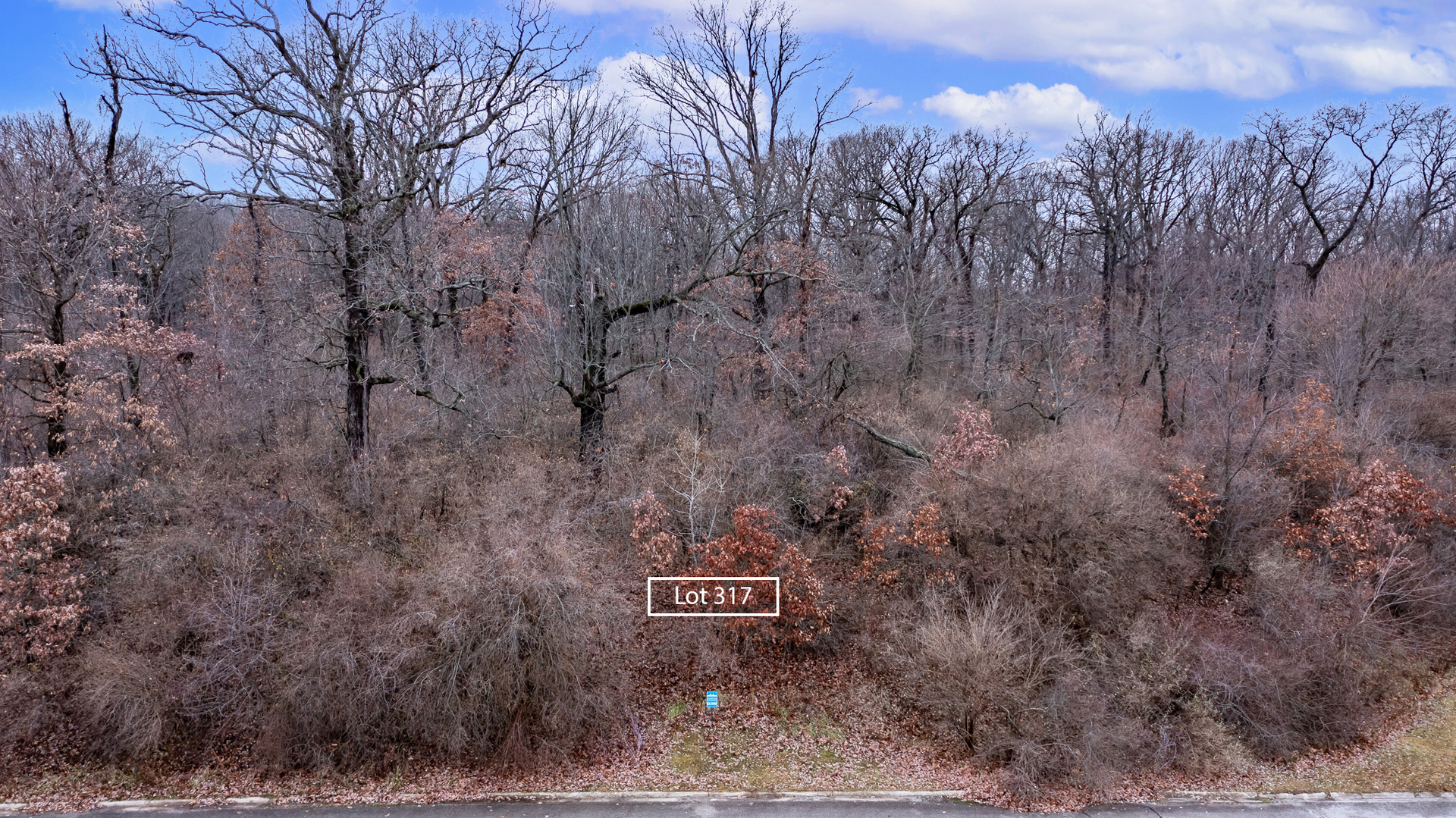 9325 Doubletree Drive, Winfield, IN 46307