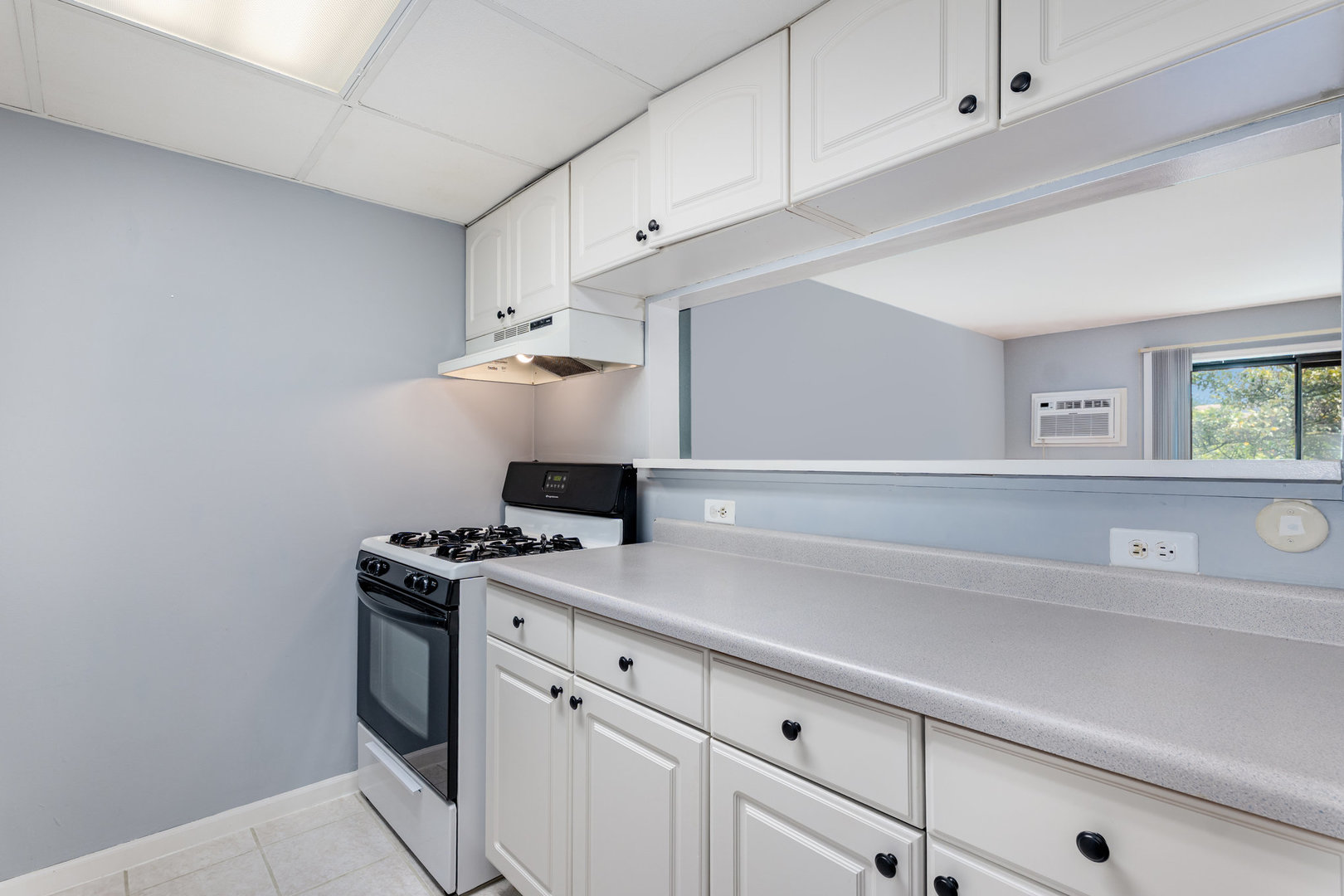 208 E Bailey Road #K, Naperville, IL 60565