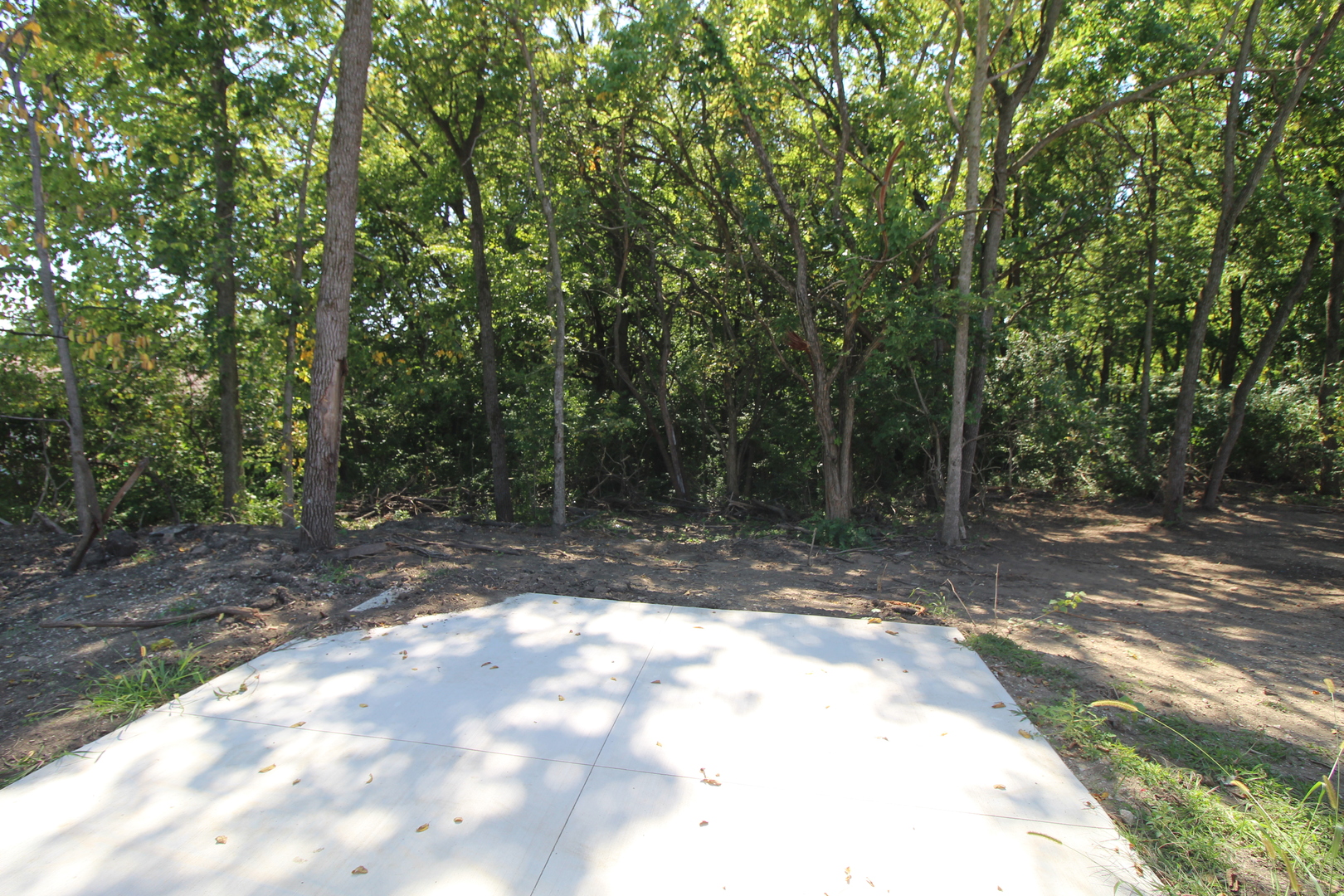 1198 Oak Grove Court, Morris, IL 60450