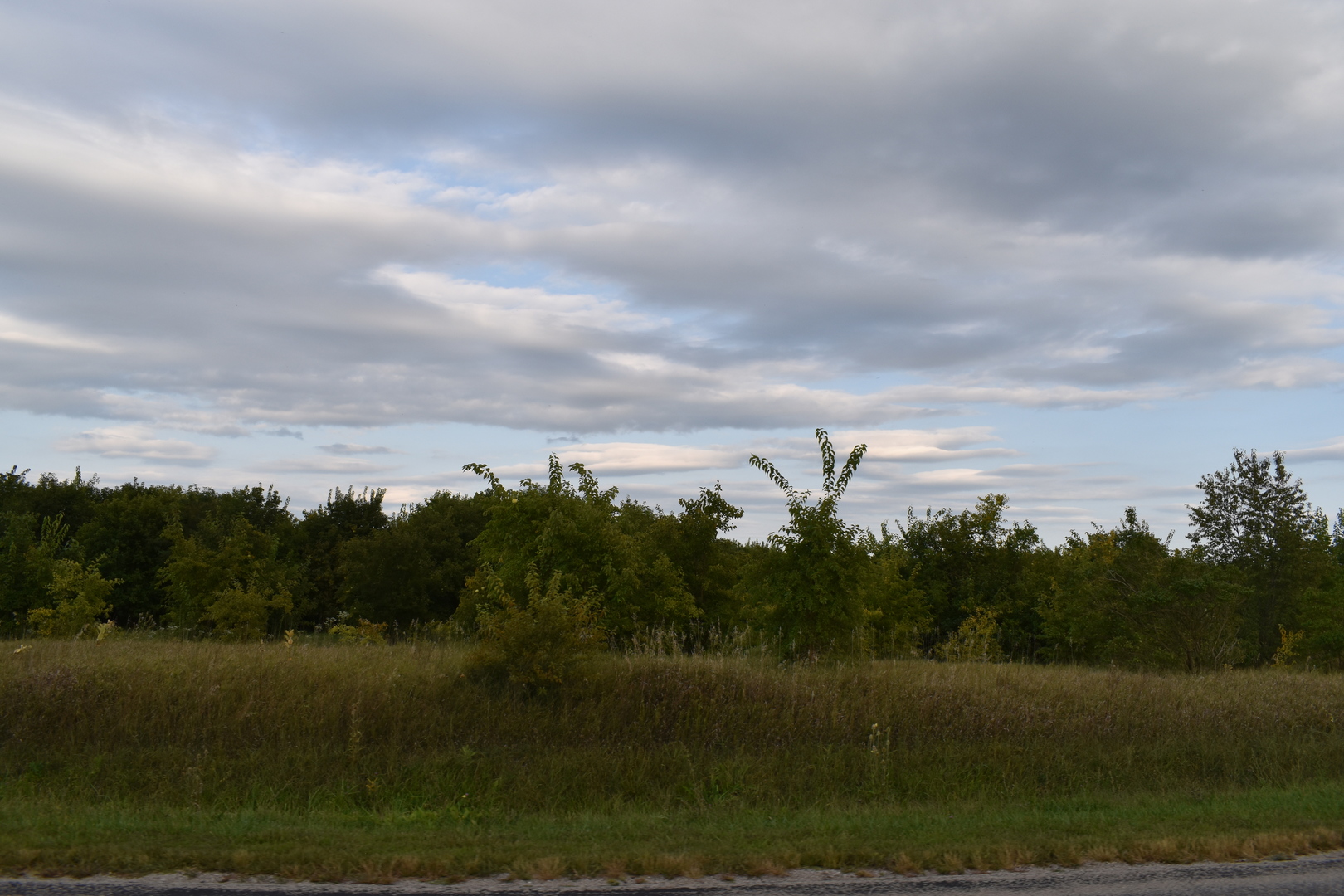 20880 N 800 East Road, Graymont, IL 61743