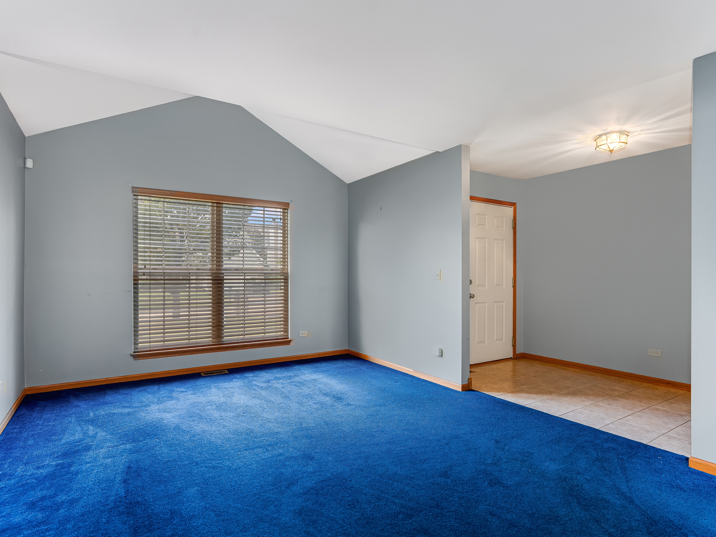 1910 Arbor Fields Drive, Plainfield, IL 60586