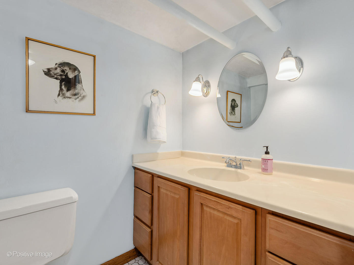 3 Orchard Place, Hinsdale, IL 60521