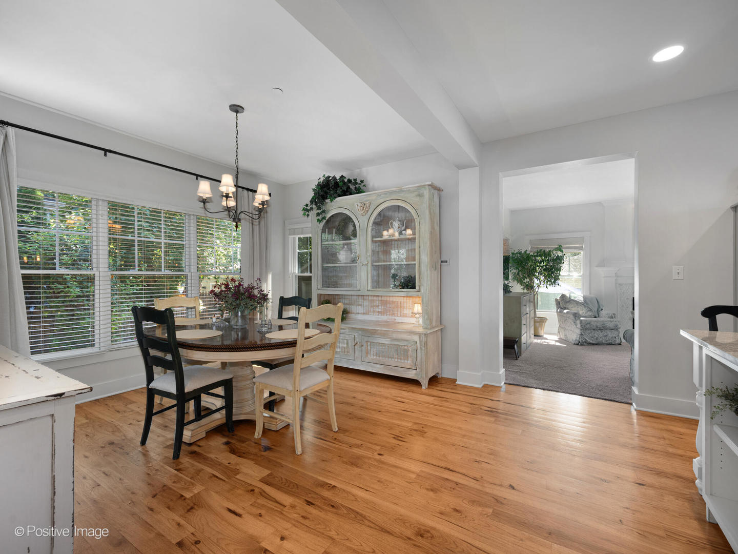 312 W Harding Avenue, La Grange Park, IL 60526