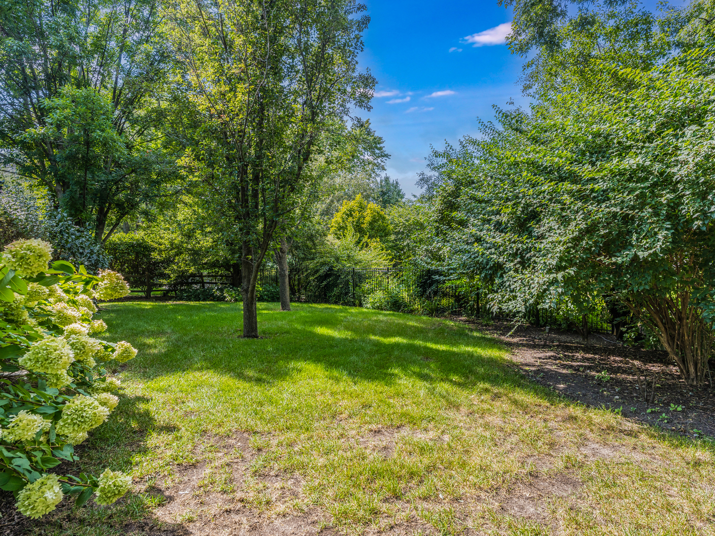 1437 Pinetree Drive, Naperville, IL 60565