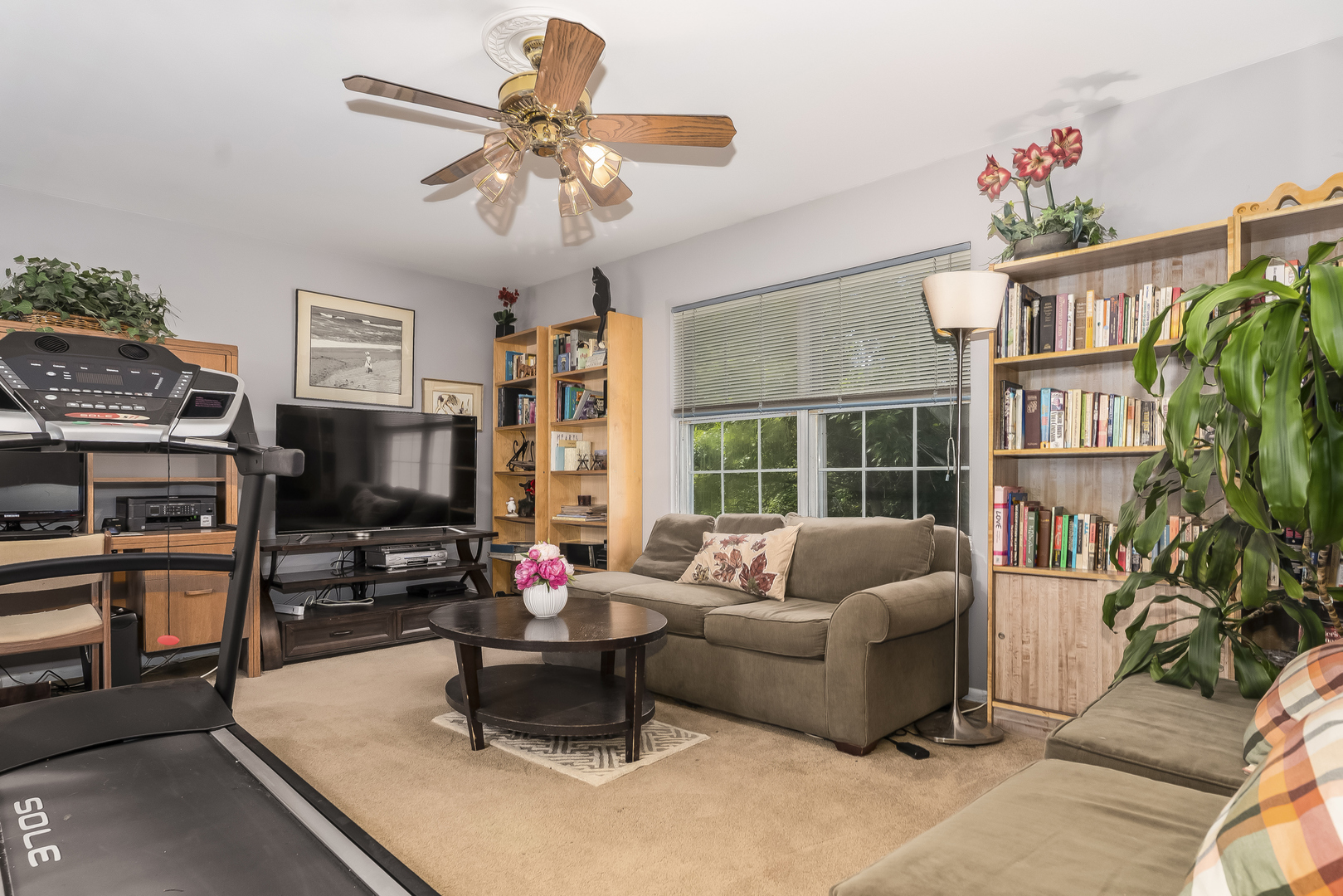 1437 Pinetree Drive, Naperville, IL 60565