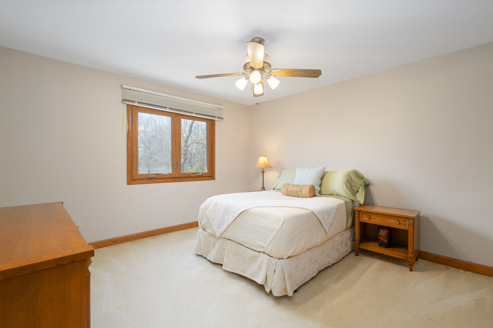 15328 Sharon Drive, Homer Glen, IL 60491