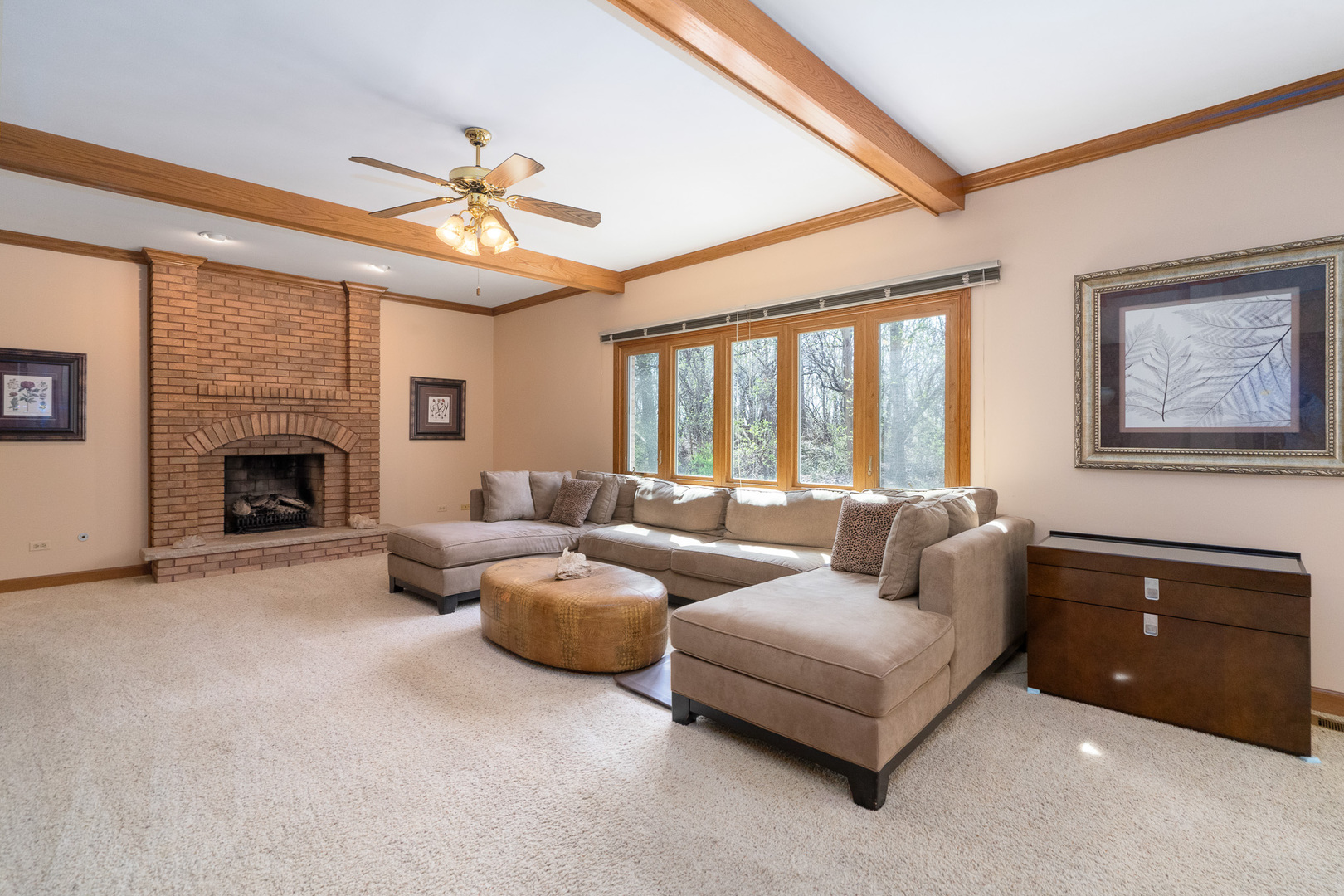 15328 Sharon Drive, Homer Glen, IL 60491