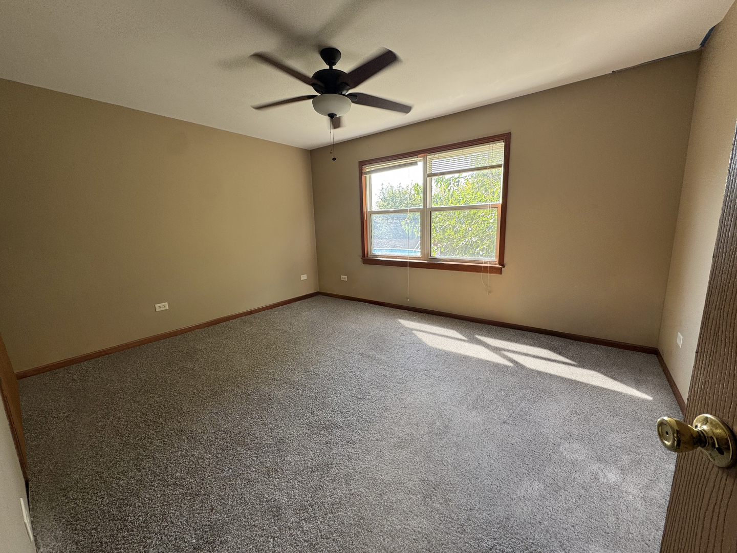2509 Ruth Fitzgerald Drive, Plainfield, IL 60586